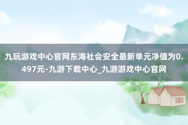 九玩游戏中心官网东海社会安全最新单元净值为0.497元-九游下载中心_九游游戏中心官网
