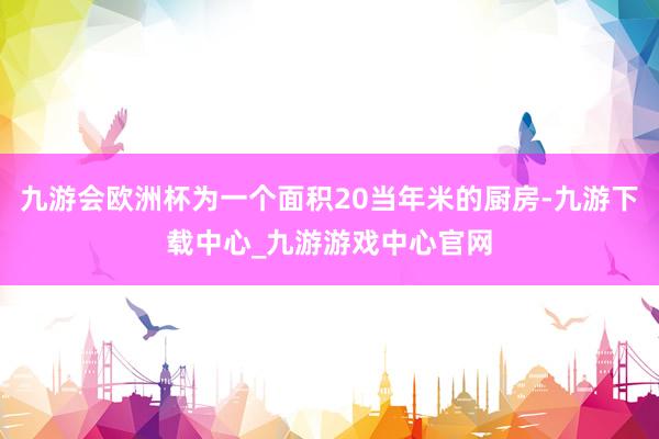 九游会欧洲杯为一个面积20当年米的厨房-九游下载中心_九游游戏中心官网